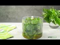 how to make basil oil