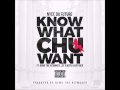 Nyce Da Future Ft. Lot-A-Nerv, Remo The Hitmaker, Kay1ner - Know What Chu Want (2015)