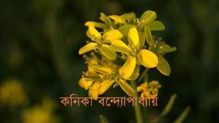 স্বপন যদি ভাঙিলে রজনী প্রভাতে  -  কনিকা বন্দ্যোপাধ্যায়