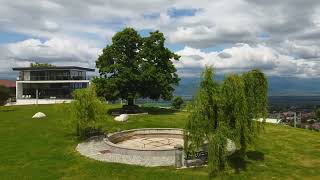 თელავი ნადიკვრის პარკი დრონით telavi park of nadikvari by drone