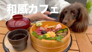 愛犬家にも人気の和風カフェ／池下カフェ　花ごよみ