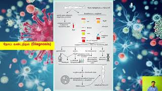 Immunology - Infection (Tamil) Part 2