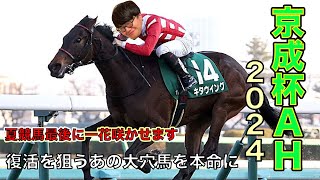 【京成杯オータムハンデ2024本命発表】アスコリピチェーノよりもここを狙っている大穴馬を本命に！