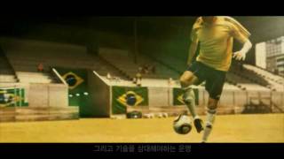 2010 아디다스 월드컵 프랑스의 구어쿠프 (Gourcuff)  영상