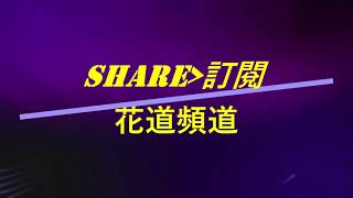 20210808足球小將奮戰夢幻隊,25夢球日本關,非攻略,非一次通關,一次唔得就試多次,纯分享,節錄自直播,要睇通關請飛到第三場~祝大家順利通關~Captain Tsubasa Dream Team