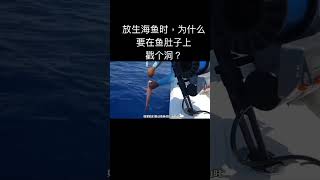 放生海鱼时，为什么要在鱼肚子上戳个洞？#科普 #涨知识 #有趣冷知识 #shorts