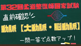 【聞き流し/作業用BGM　2024年度版】柔道整復師　鍼灸師　国家試験　脈管系　【動脈】大動脈・脳動脈　一問一答読み上げ