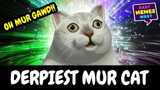 DERPIEST CAT MEME FROM ASIA EXPLAINED: MUR CAT (2021)