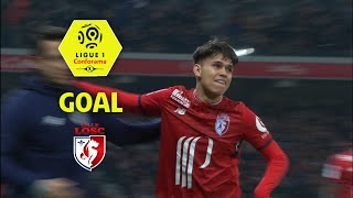 Goal Luiz ARAUJO (81') / LOSC - Olympique Lyonnais (2-2) / 2017-18