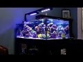 deep blue professional 80 rimless reef tank deep blue professional 80 rimless reef tank