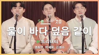 [찬양] 트리니티(Trinity) - 물이 바다 덮음 같이｜원곡 : 고형원(예수전도단)｜갓쏭｜쏭스튜디오｜ccm