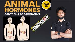 Hormones in Animal Class 10 | Control and Coordination #biology #cbse #class10 #motivation