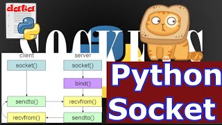 SOCKETS Send and receive data PYTHON