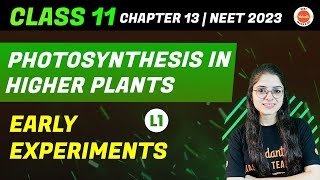 Photosynthesis in Higher Plants Class 11 | Early Experiments Class 11 | Chapter 13 Biology Class 11