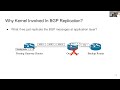 tensor lightweight bgp non stop routing sigcomm 23 s2