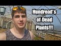 Winter Plant DEATHS & Spring Plant Nursery Update!