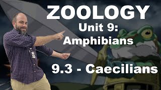 Zoology - 9.3 - Caecilians