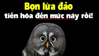 Bọn lừa đảo đã tiến hóa tinh vi đến mức này rồi