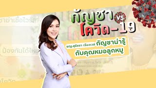 EP3 : กัญชาน่ารู้กับหมอลูกหมู ตอน กัญชารักษาโควิดได้อย่างไร ตอน 1 - พญ.สุธัชชา เรืองเวส