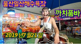 까치품바(4k영상)2019년7월21일