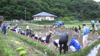 利屋郷の田植え