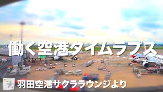 【タイムラプス】働く空港タイムラプス