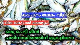 ഇന്ന് കടപ്പുറത്ത് മീൻ വില റെക്കോർഡിട്ടു |Tanur harbour | Ali Vlogs Official