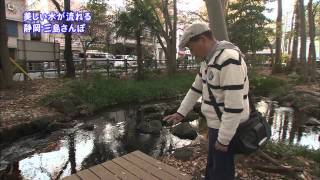 2011年1月24日 ちい散歩 三島