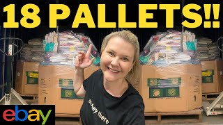 THIS GUY OFFERED ME 18 PALLETS OF BOOKS TO BUY || The logistics are crazy!