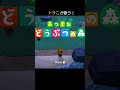 5up【 あつまれどうぶつの森 】トラこが歌う！ あつ森