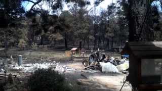 Family returns to home intact; homes nearby burned to ground