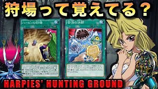 ハーピィの狩場、意外とありかもしれない件【遊戯王デュエルリンクス実況＃239】【Yu-Gi-Oh! Duel Links】