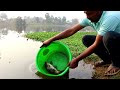 fishing video it is possible to catch fish using hook if proper food is given in the pond