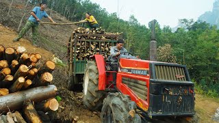 Use trucks to transport firewood to the farm, sow seeds for the new 2025 crop, Family farm