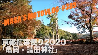 【YB125SP】京都紅葉便り2020　亀岡・請田神社　masa'smotovlog #389