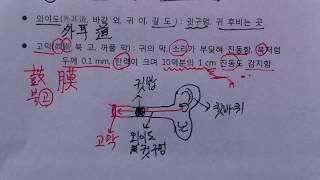 [우프 중3과학] 자극과 반응 2강 - 귀