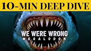 Why Megalodon ABSOLUTELY Went Extinct 🦈