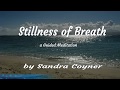 Stillness of Breath by Sandra Coyner