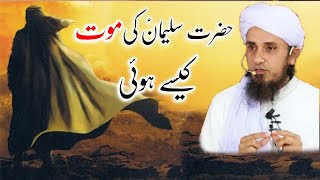 Hazrat Suleman Aleyhissalam Ki Maut Kaise Hui | Mufti Tariq Masood