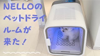 NELLOのペットドライル-ムが来た！