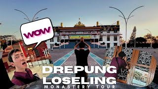 Episode 80: The GRAND DREPUNG LOSELING☸️📍 Mundgod, Karnataka🪷