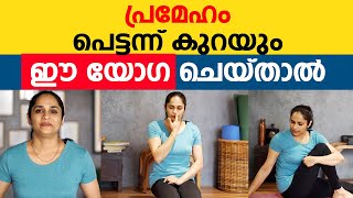 പ്രമേഹം പെട്ടന്ന് കുറയും ഈ യോഗ ചെയ്താൽ  | Best Yoga For Diabetes Control | Doctors Diary