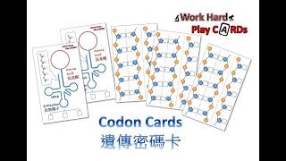 [Codon Card 教材分享] DSE Bio 密碼子、反密碼子與基因突變 Codon, Anticodon and Gene mutation