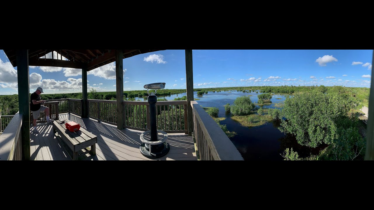 Aerial Drone Videography The Everglades Naples Fl Youtube