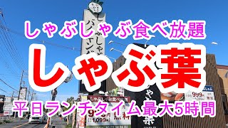 おやさいたっぷり「しゃぶ葉」しゃぶしゃぶ食べ放題ランチタイム平日は最大5時間！