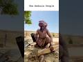 The Bedouin People #shorts #youtubeshorts #shortvideos #indigenouspeople #bedouin #ethnic