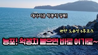 능포 대사리급 학꽁치 길목! (편한 오솔길 3분코스)