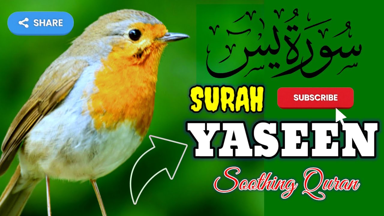 Surah Yaseen Most Beautiful Recitation Surah Yasin Relaxing Resitation ...