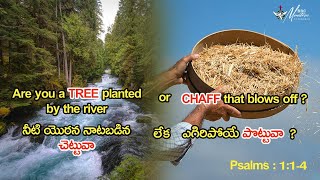 R U a Tree or Chaff? || చెట్టువా లేక పొట్టువా? || Dr. Jasper Prasad  || Sunday Sermon || BBC, Hyd