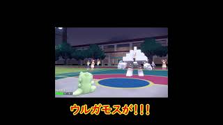 キョジオーンを起点にする最強ウルガモス【ポケモンSV】#shorts